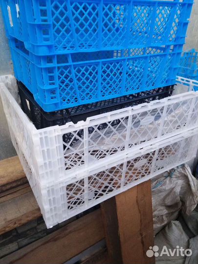 Продам ящики под овощи