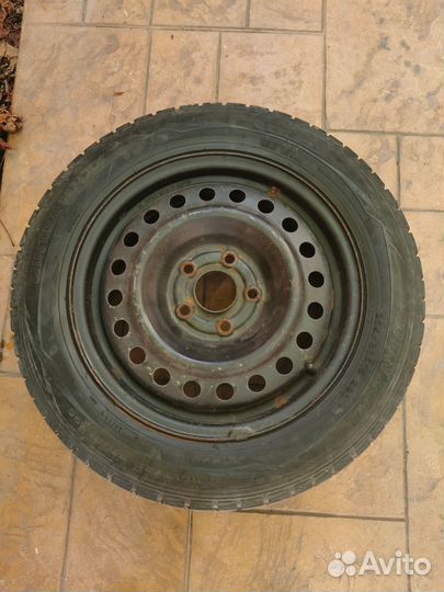 Dunlop SP Winter Maxx WM01 205/60 R16