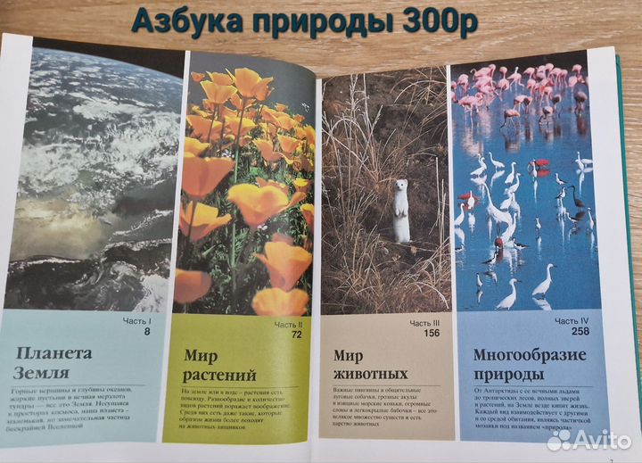 Энциклопедия