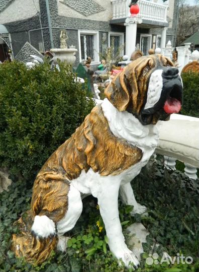 Собака Сенбернар