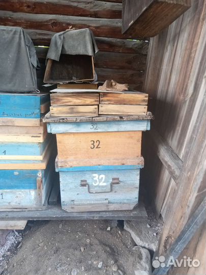 Пчелиные улья, наставочные корпуса, рамки
