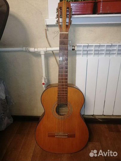 Гитара resonata musima идеальная