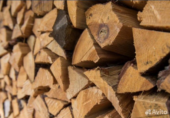 Дрова колотые осина
