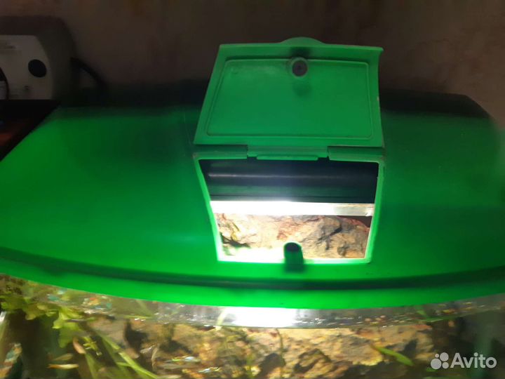 Аквариум с рыбками