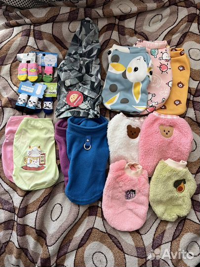 Одежда для животных