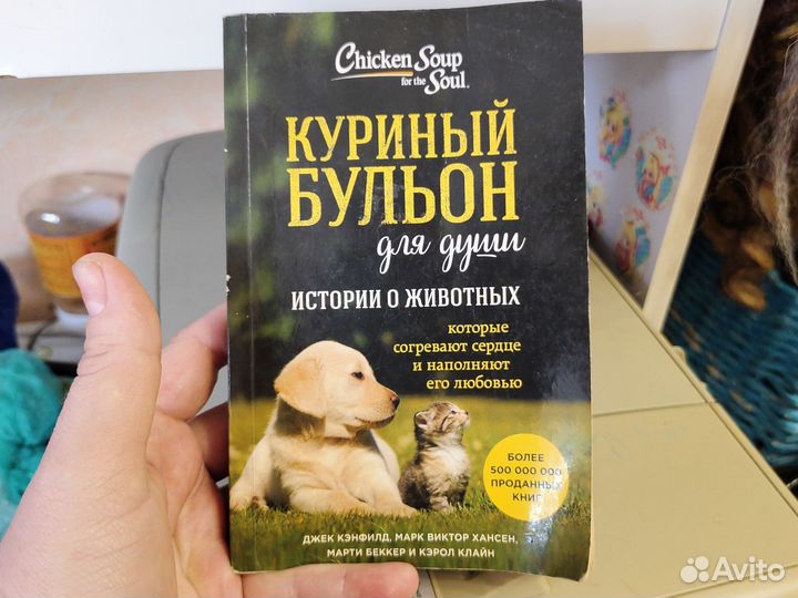 Куринный бульон для души