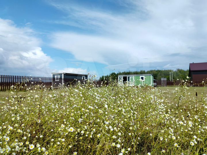 Участок 10,4 сот. (СНТ, ДНП)