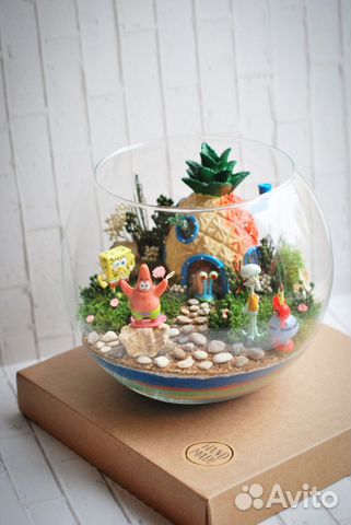 Авторские флорариумы и моссариумы на заказ