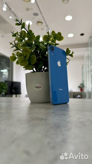 iPhone Xr, 128 ГБ