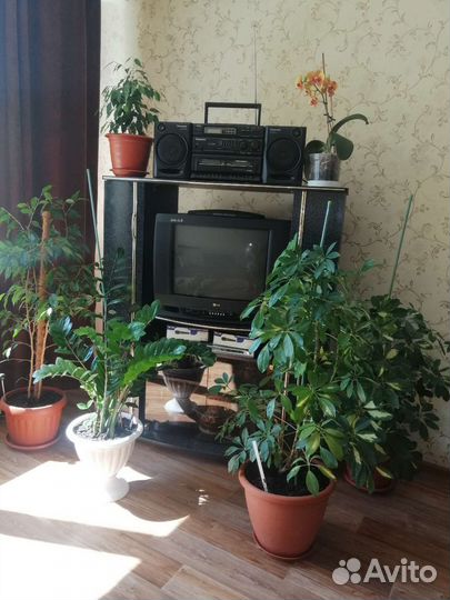 Подставка под телевизор в комплекте с телевизором