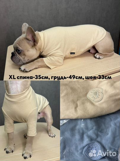 Одежда для собак новая