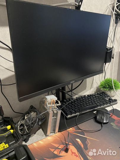 Монитор msi MP243P