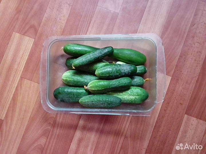 Огурцы свежие