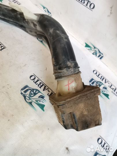 Горловина топливного бака Renault Megane III (2008