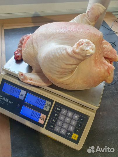 Мясо бройлера