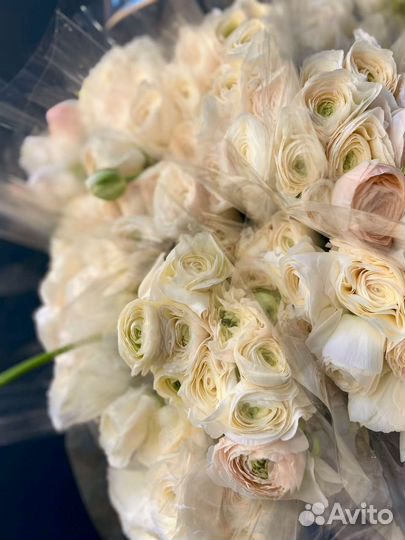 Ранункулюсы одноголовые и кустовые