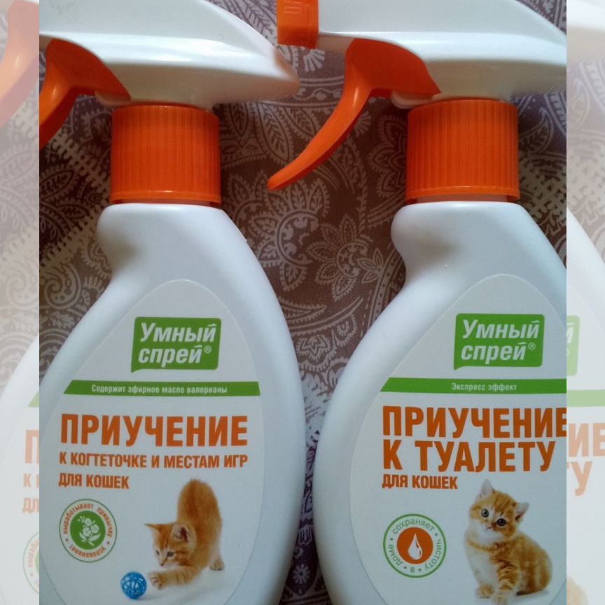 Для приучения котят