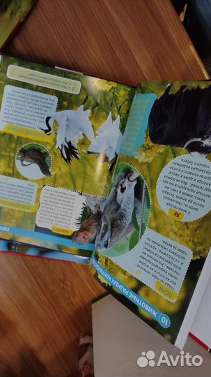 Энциклопедия с развивающими заданиями