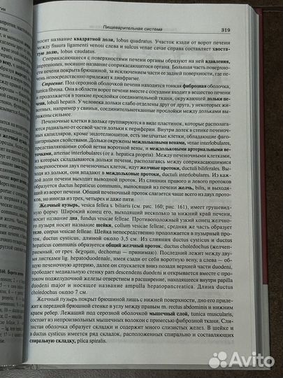 Учебник по анатомии Привес