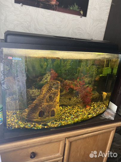 Аквариум