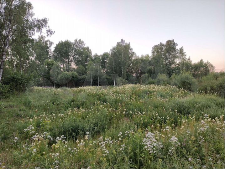 Участок 12,5 сот. (ИЖС)