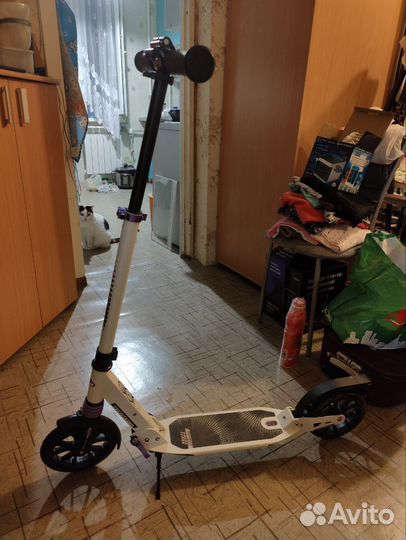 Самокат TechTeam City Scooter (2021)
