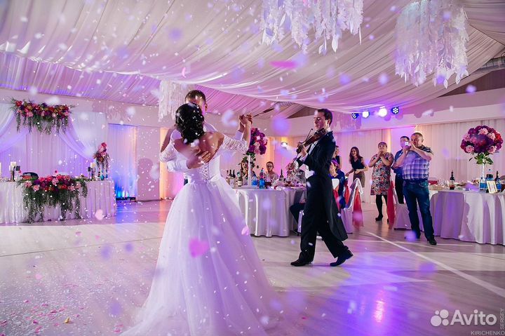 Живая музыка. Скрипач на праздник. Петрозаводск