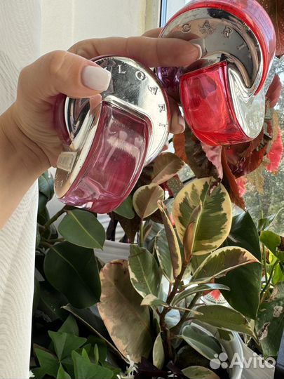 Сет парфюмов цена за все