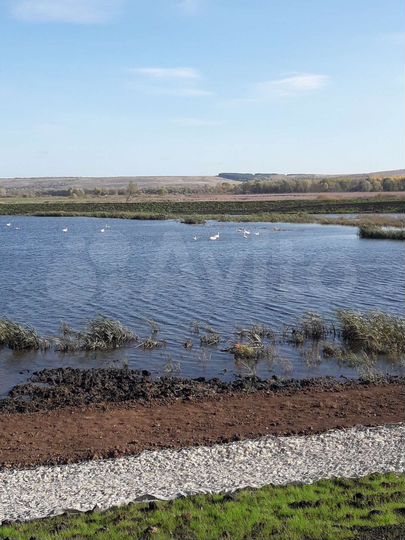 Участок 13 га (СНТ, ДНП)