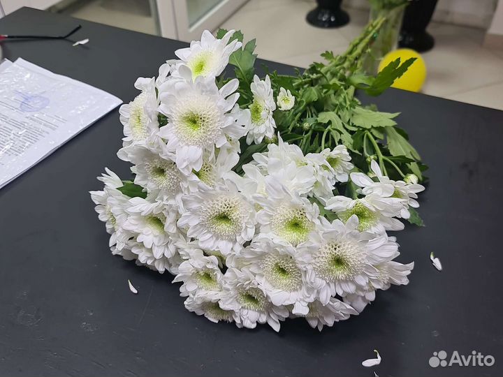 Цветы хризантемы доставка
