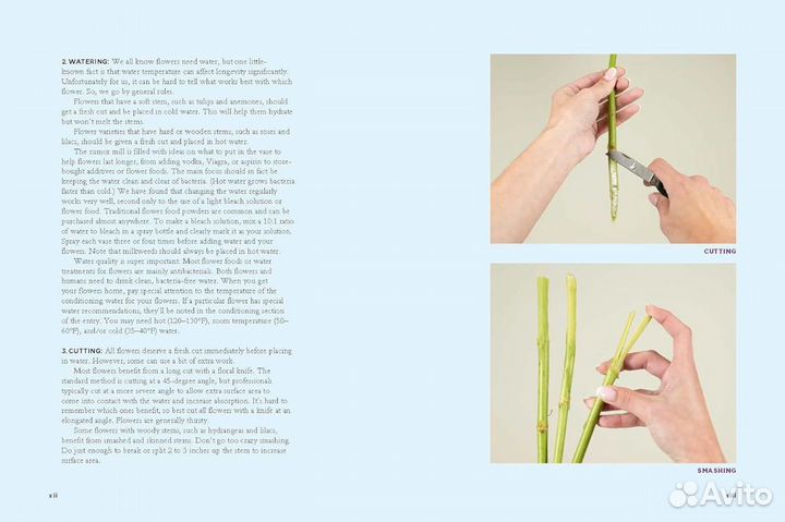 The Encyclopedia of Cut Flowers