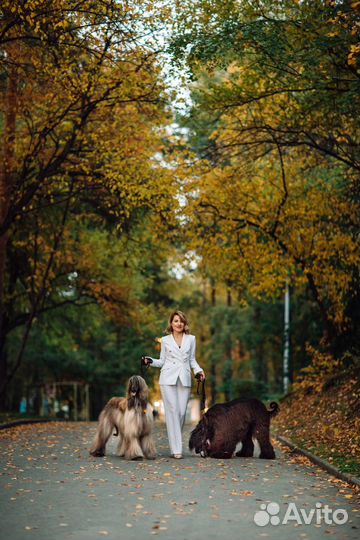 Осенняя фотосессия