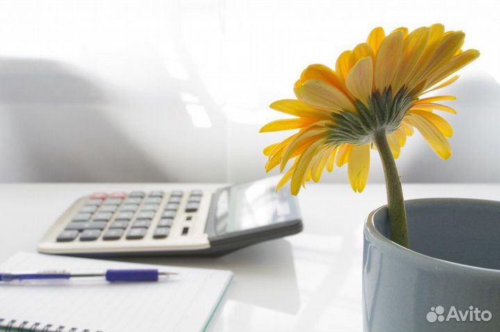 Бухгалтер 3-ндфл