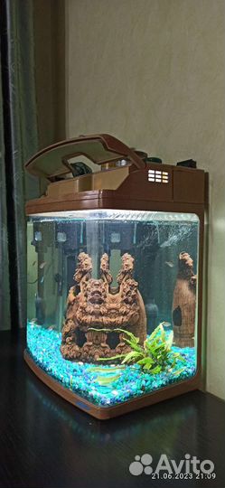 Аквариум