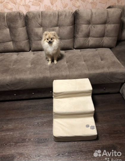 Лестница для собак