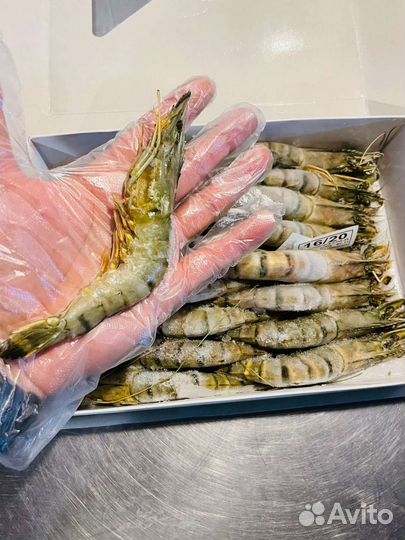 Креветки Большие тигровые морепродукты