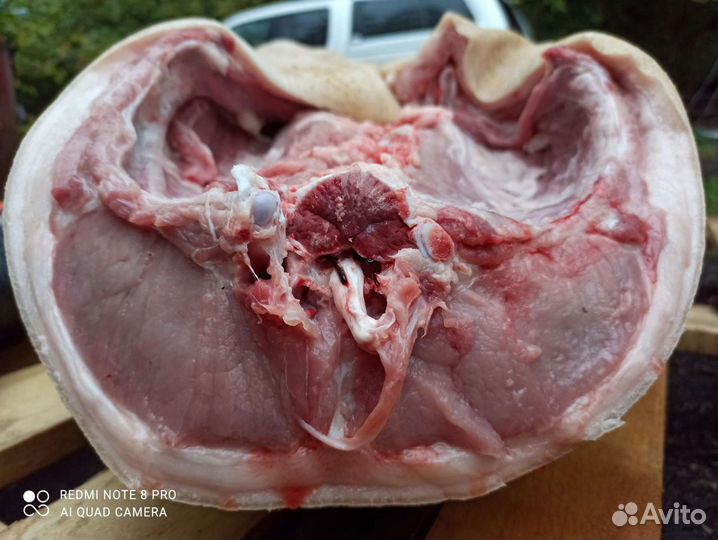 Свинина домашняя, Мясо, кабан