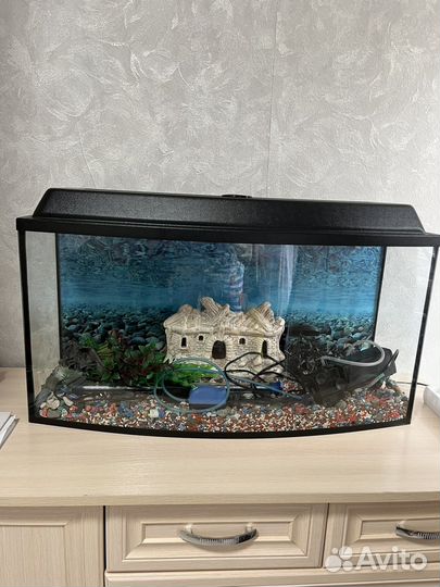 Аквариум