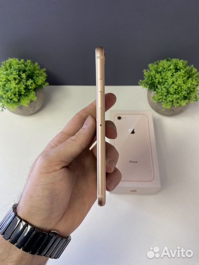 iPhone 8, 64 ГБ