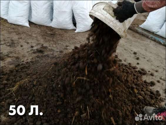Подстилка конская (навоз конский с опилками) 50 ли