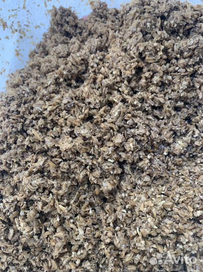 Пивная Дробина (барда )