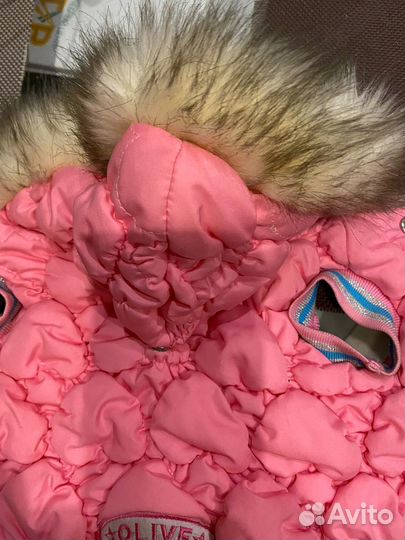 Одежда для маленьких пород собак