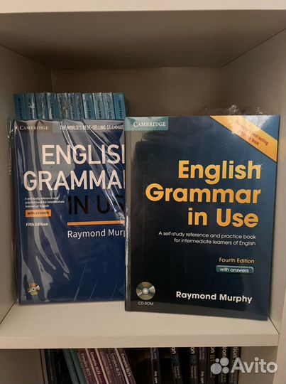 English grammar in use raymond murphy