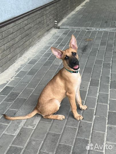 Мальчик ищет семью