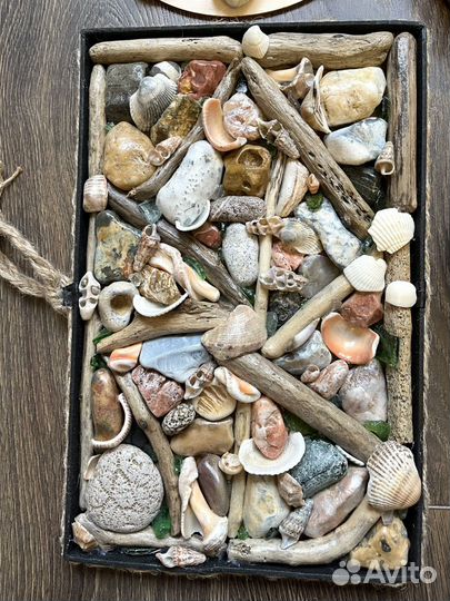 Картины из морских даров