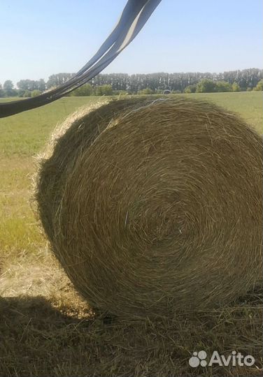 Продам сено в рулонах