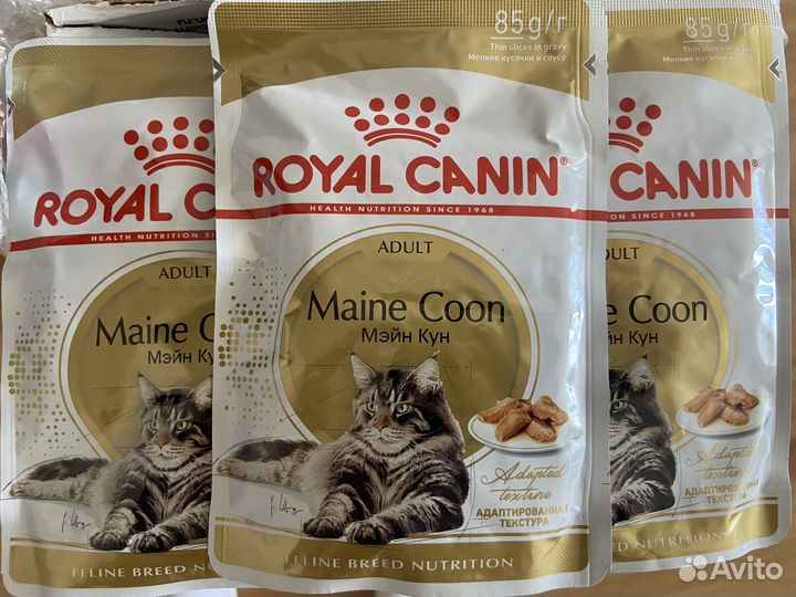 Кошачий корм влажный Royal Canin (Мэйн Кун)
