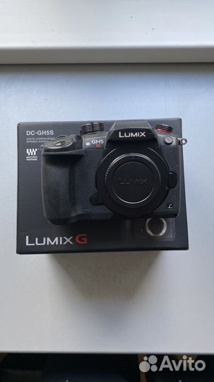 Panasonic Lumix gh5s