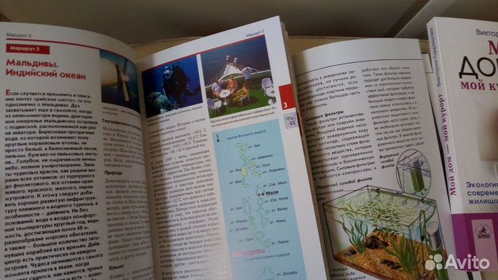 Красочные фото Золотые рыбки.Дайвинг