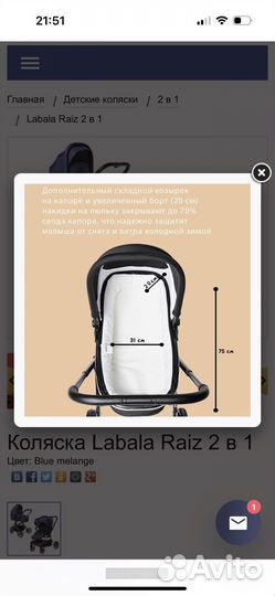 Коляска Labala Raiz 2 в 1